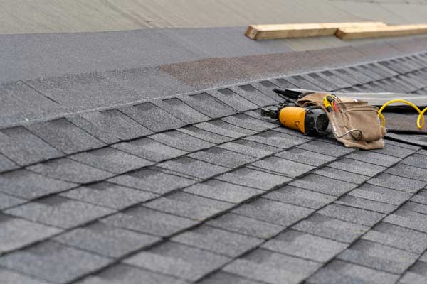 Professional Roofing Services